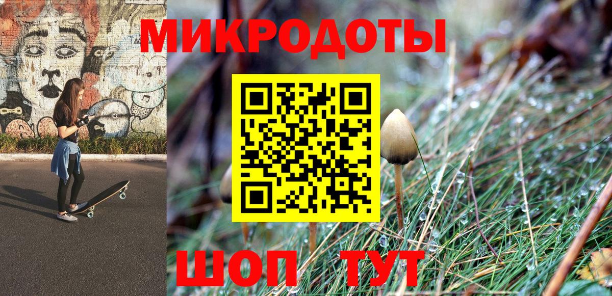 Галлюциногенные грибы Psilocybe Ковров