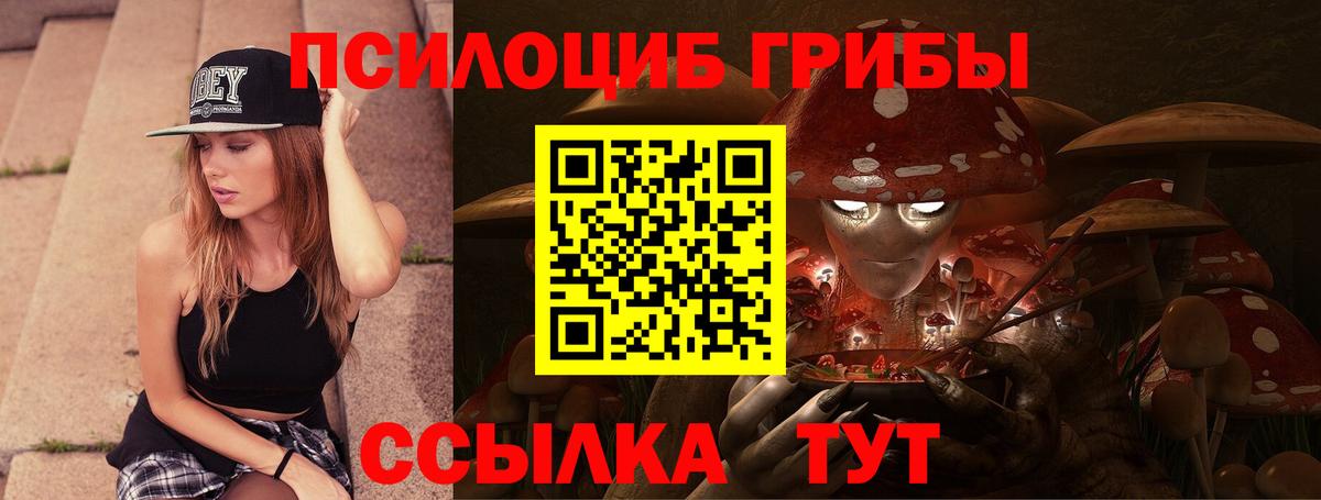 Галлюциногенные грибы мицелий  Вход с VPN  Галлюциногенные грибы Psilocybe  Ковров 